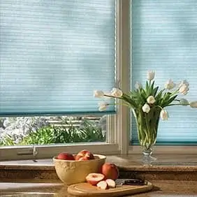 Window Treatment Services near by Phoenix, AZ